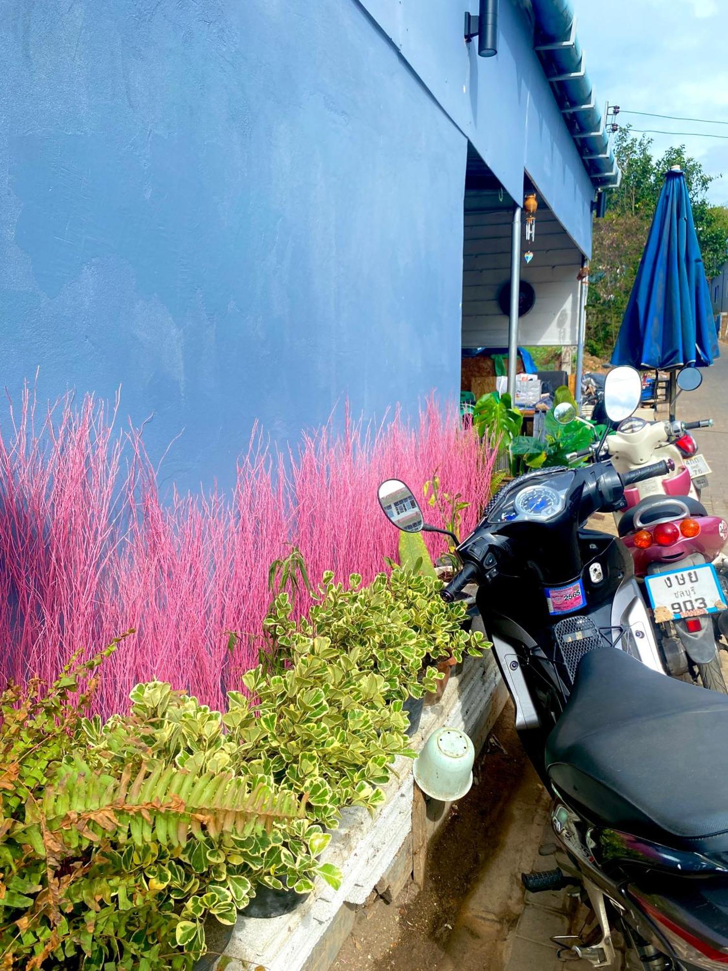 Md Kohlarn-Pattaya Hotel Bagian luar foto